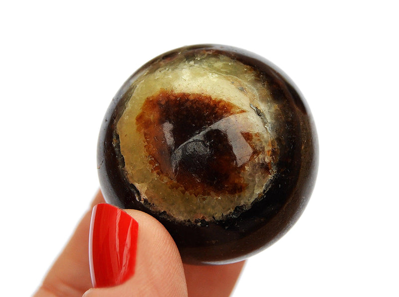 One yellow septarian crystal sphere 35mm on hand