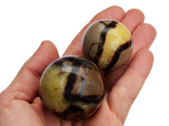 Two yellow septarian crystal spheres 40mm - 30mm on hand