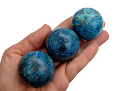 Three blue apatite mineral spheres 40mm on hand with  white background