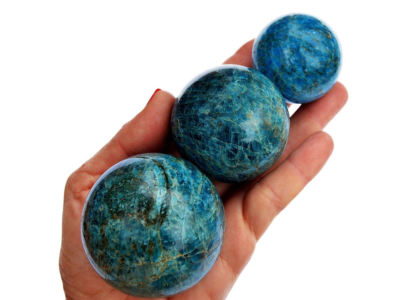 Three blue apatite crystal spheres 45mm-60mm on hand with white background