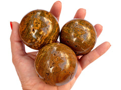Three ocean jasper sphere crystal stones 55mm on hand with white background