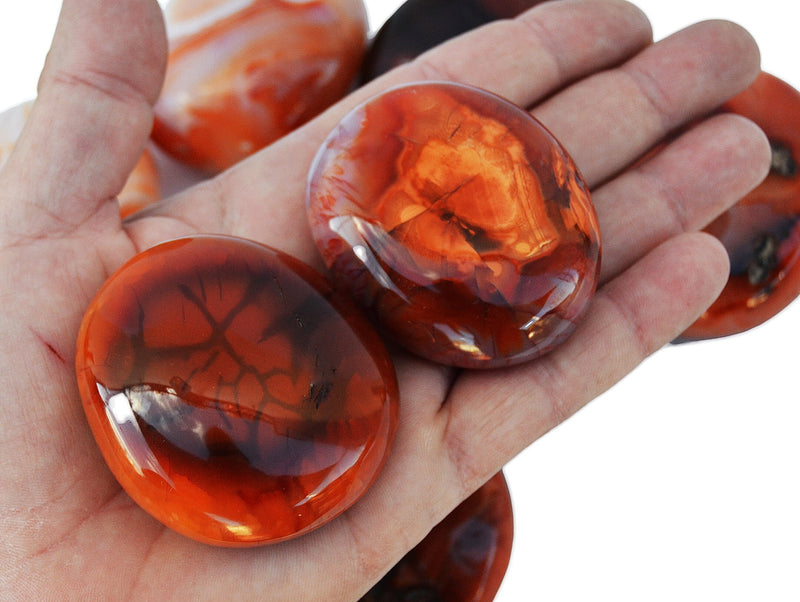 Two carnelian palm stones 40mm-70mm on had with background with some stones on white