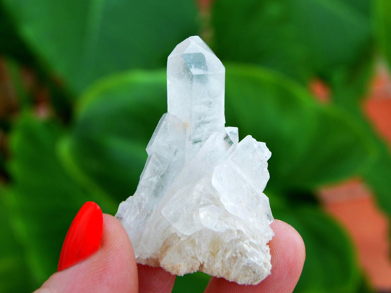 One small raw quartz crystal cluster on hand with green plants