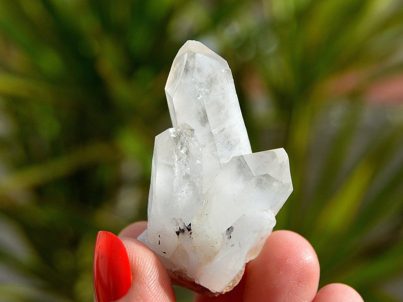 One small rough crystal point on hand with background with green plants