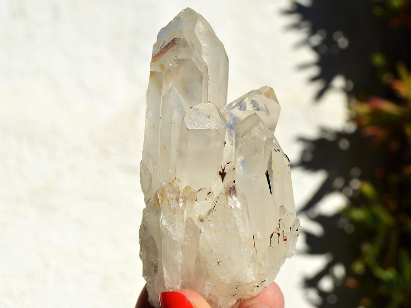 One large raw crystal cluster point on hand with white background and some green plants