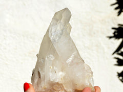 One large quartz crystal cluster on hand with white background and some plants