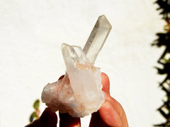 Rough crystal cluster on hand with white background