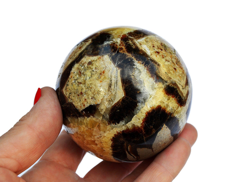 One yellow septarian crystal sphere 70mm on hand with white background