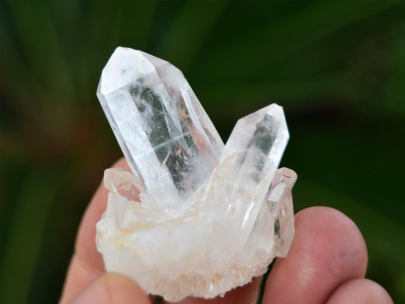 One small raw quartz cluster on hand with green plants background