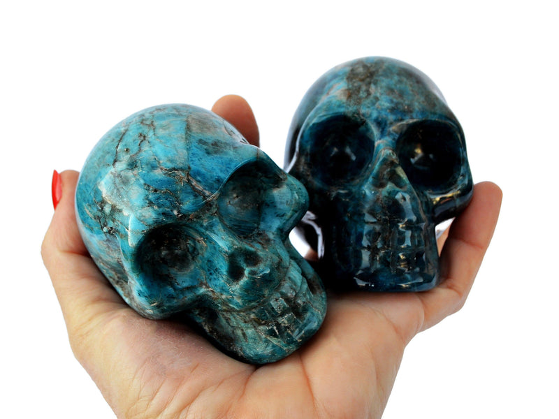 Two blue apatite skull carved crystals 68mm-75mm on hand with white background