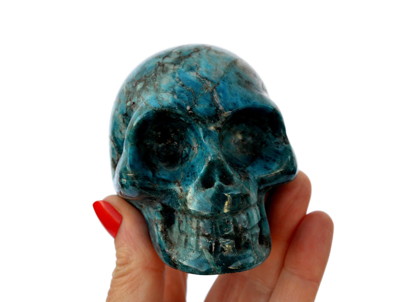 One blue apatite skull carved mineral 75mm on hand with white background