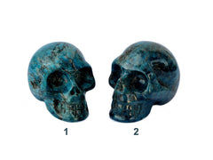 Two blue apatite skull carved crystals 68mm-75mm on white background