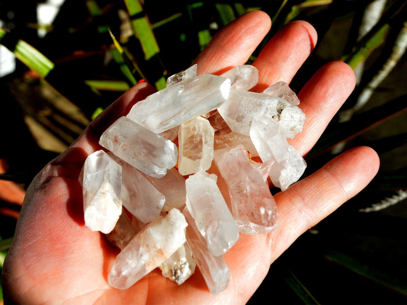 Some raw crystal points on hand with background with plants