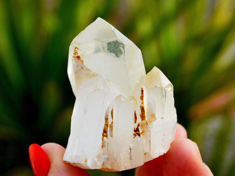 One crystal cluster on hand with background with green plants