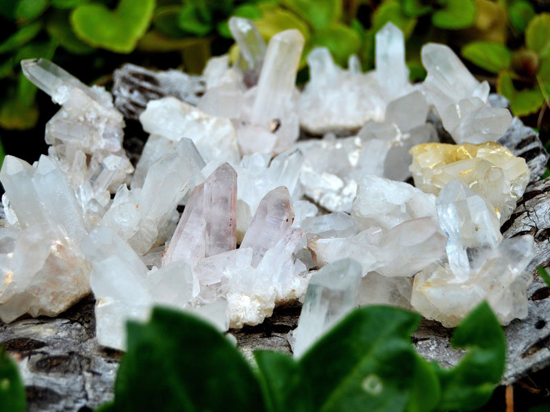 Several small crystal clusters on wood with background with green plants