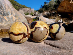 Three yellow septarian crystal spheres 70mm-95mm on natural rock