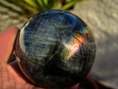 One big labradorite sphere 90mm on hand with background with green plants
