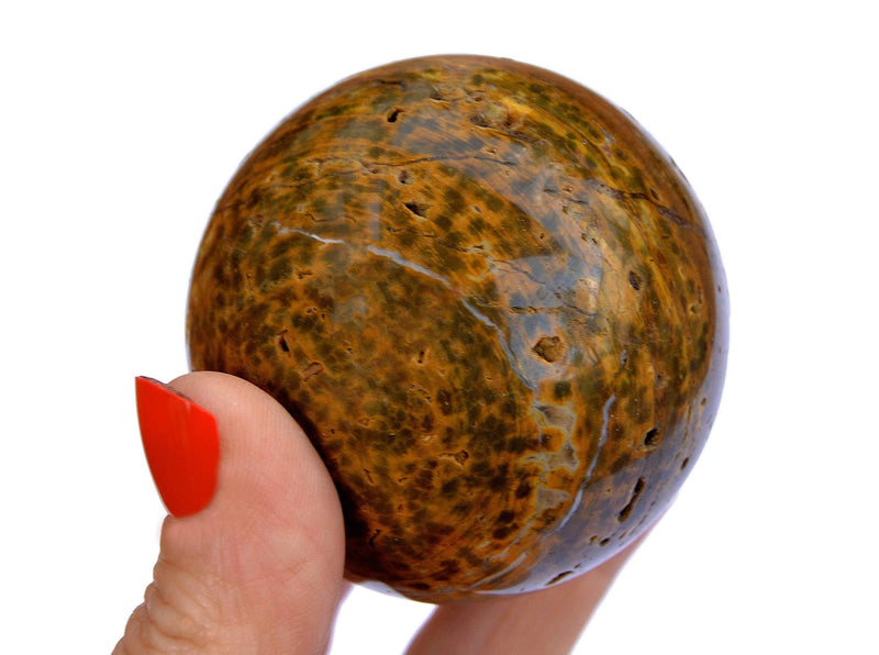 Ocean jasper sphere crystal stone 55mm on hand with white background
